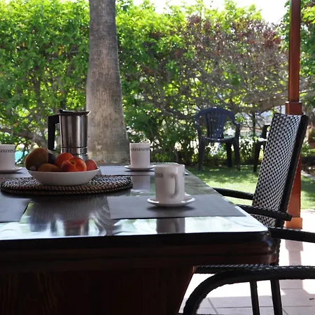 Serenity Garden *