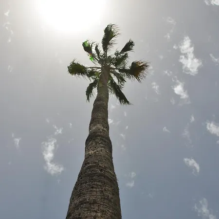 Serenity Garden * Maspalomas (Gran Canaria)