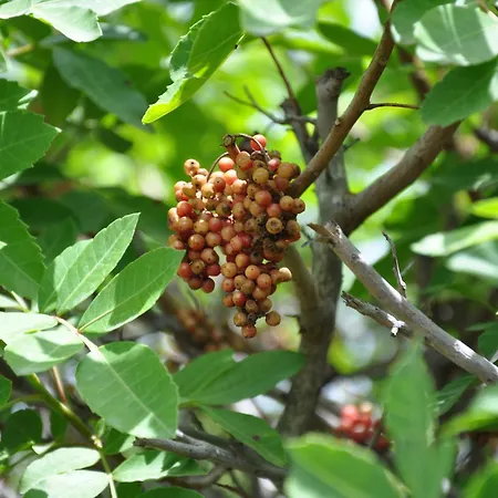 Serenity Garden Maspalomas (Gran Canaria)