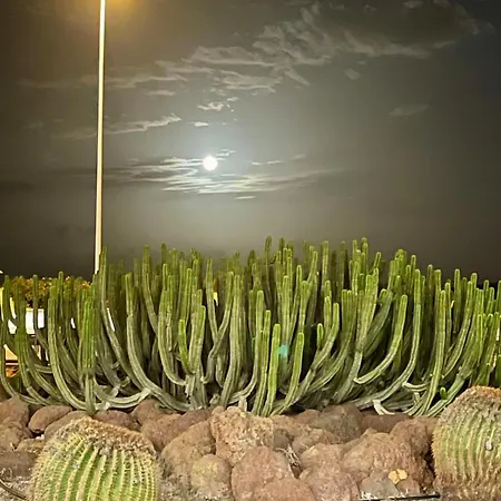 Serenity Garden Appartement Maspalomas (Gran Canaria)