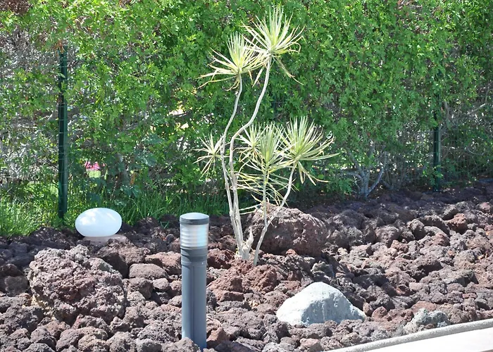 Serenity Garden