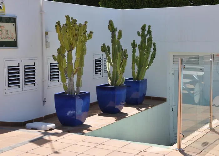 Serenity Garden Maspalomas (Gran Canaria)
